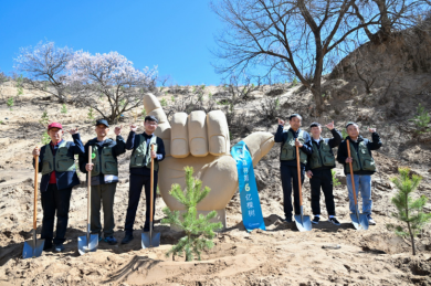 【考公】学籍档案补办保姆级教程来了,照着流程走,轻松找回你的重要凭证!